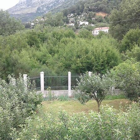 Danijela Apartmani Čanj Exterior foto