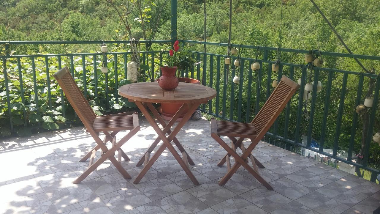 Danijela Apartmani Čanj Exterior foto