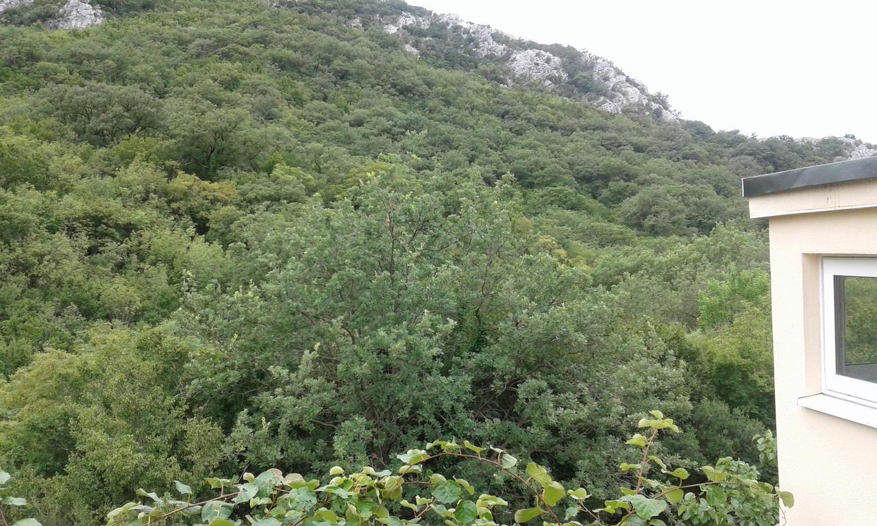Danijela Apartmani Čanj Exterior foto